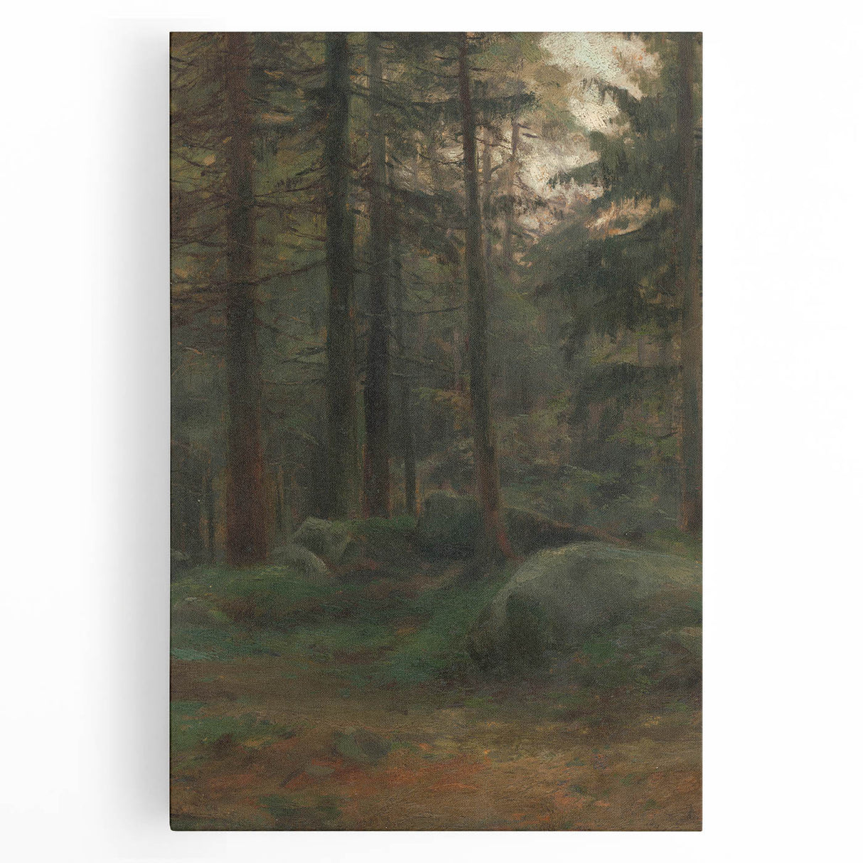 Serene Realism Art Print – Coniferous Woods with Rocks