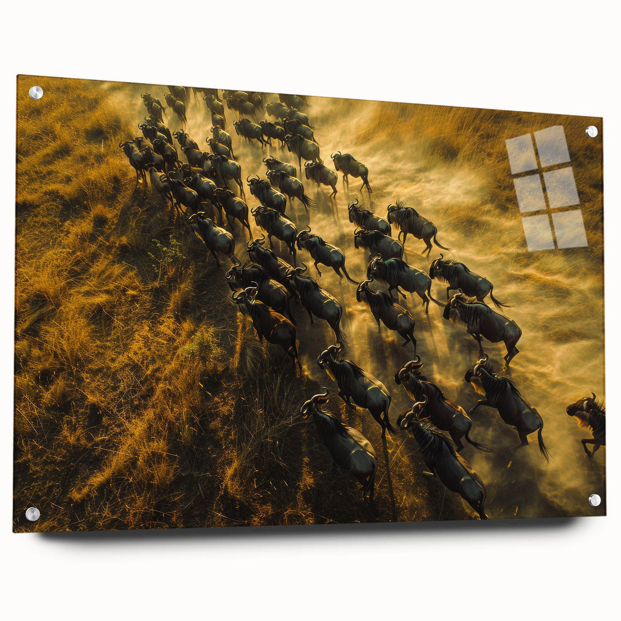 Large abstract wall art depicting the African savannah in muted earth tones on acrylic glass.