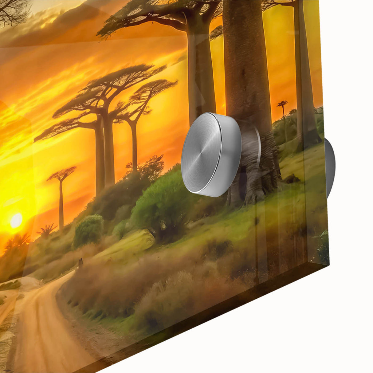 Large abstract wall art featuring a Madagascar scenery in muted earth tones on acrylic glass, ideal for dining room art.