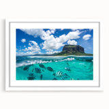 Extra large abstract art print depicting textured Mauritian scenery in earth tones, framed with a white mat.