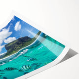 Extra large rolled print featuring line art flowers in soft pastel shades, ideal for large living room wall art.