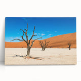 Large black and white stretched canvas of Namibian scenery, suitable as kitchen wall art or for bedroom ambiance.