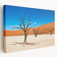 Large canvas print of a Namibian landscape in earth tones, suitable for kitchen wall art.