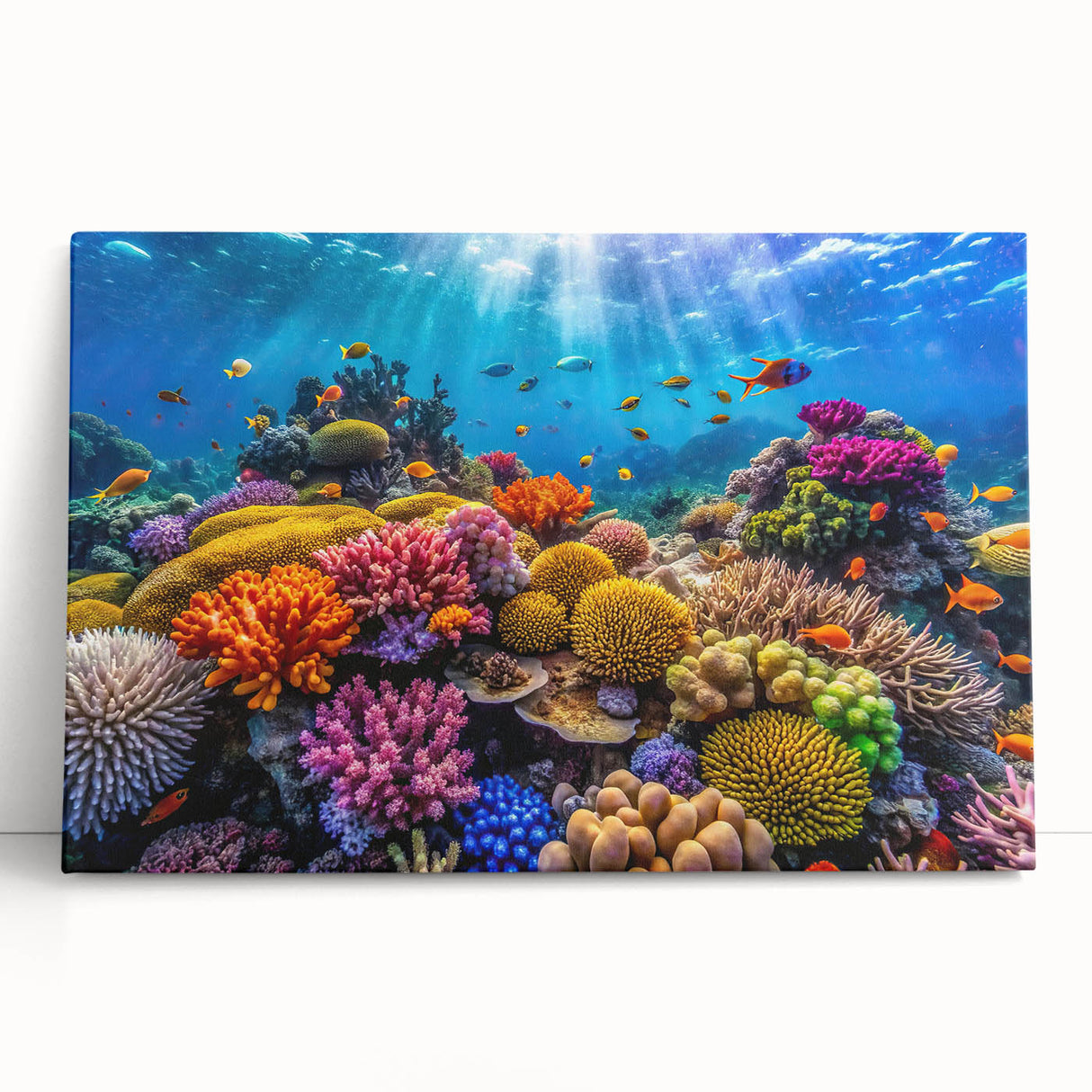 Black and white stretched canvas of the Great Barrier Reef, ideal for kitchen wall art or bedroom decor.
