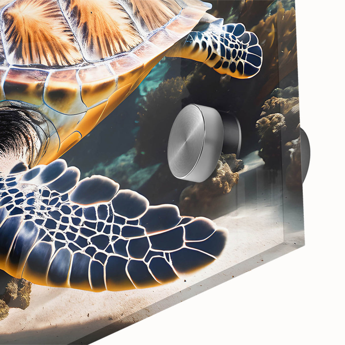 Large abstract wall art depicting the Caribbean Aruba scenery in vibrant blues and greens on acrylic glass.