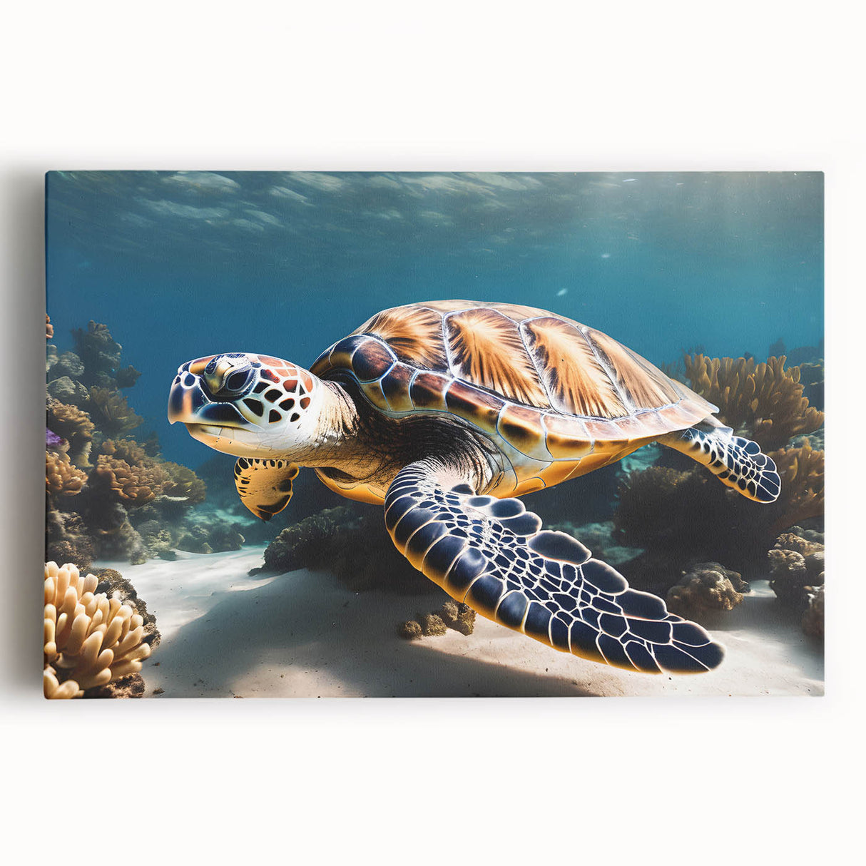 Black and white stretched canvas of Caribbean Aruba scenery, ideal for kitchen wall art.