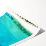 Extra large wall art depicting line art flowers in vibrant hues on a rolled print, ideal for large living room decor.