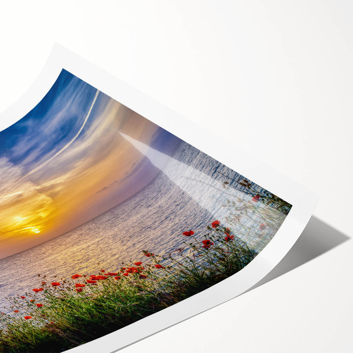 Extra large wall art featuring line art flowers and a scenic Montenegro landscape on a rolled print.