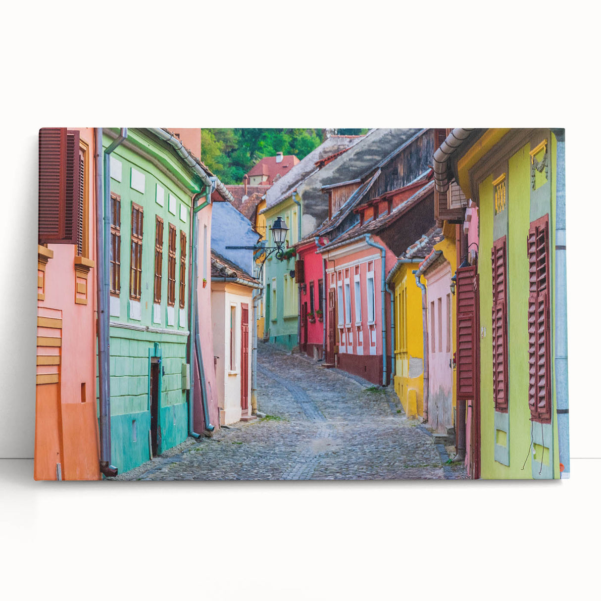 Large black and white stretched canvas of a Romanian landscape, ideal for kitchen wall art.