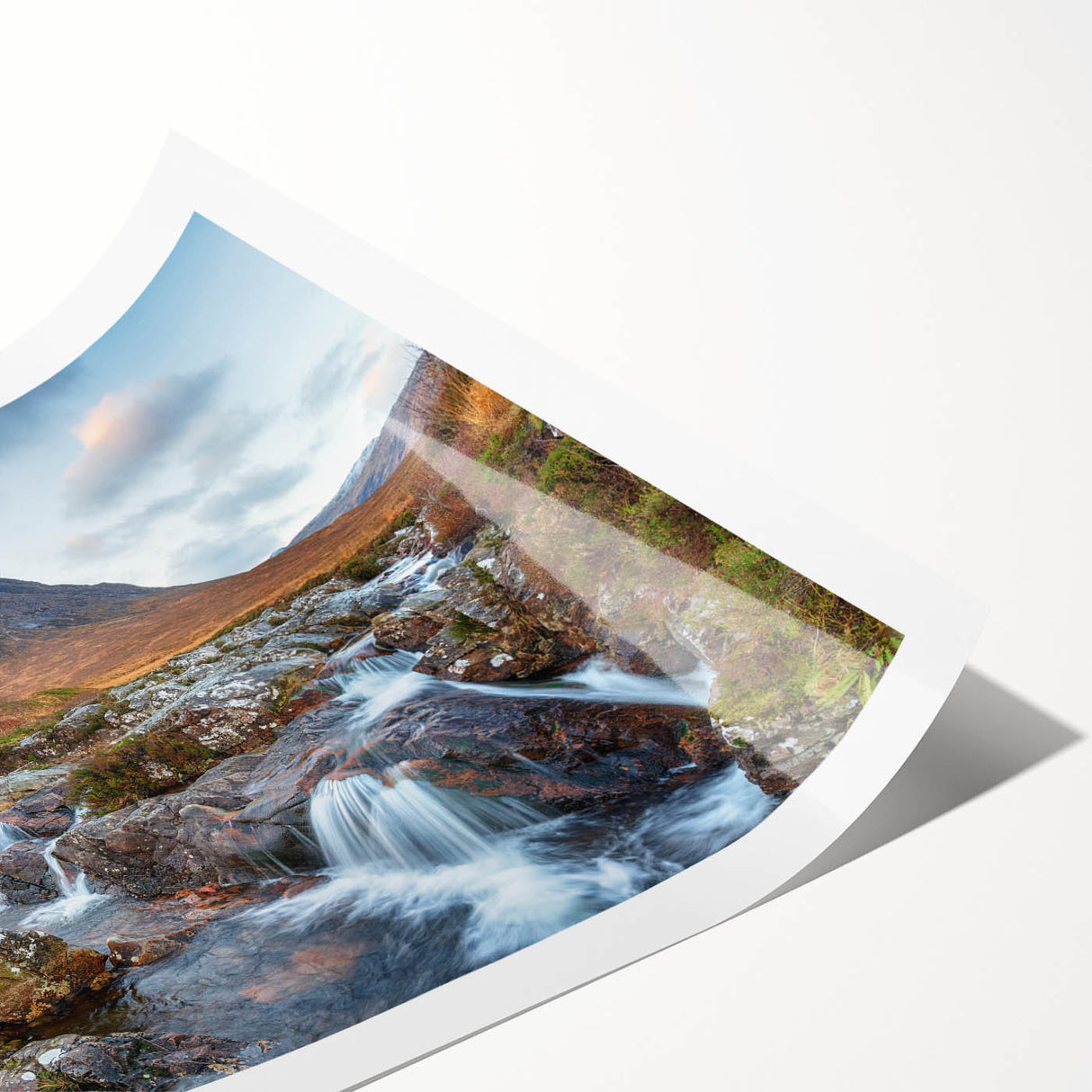 Extra large rolled print featuring line art flowers and Scottish scenery in muted earth tones.