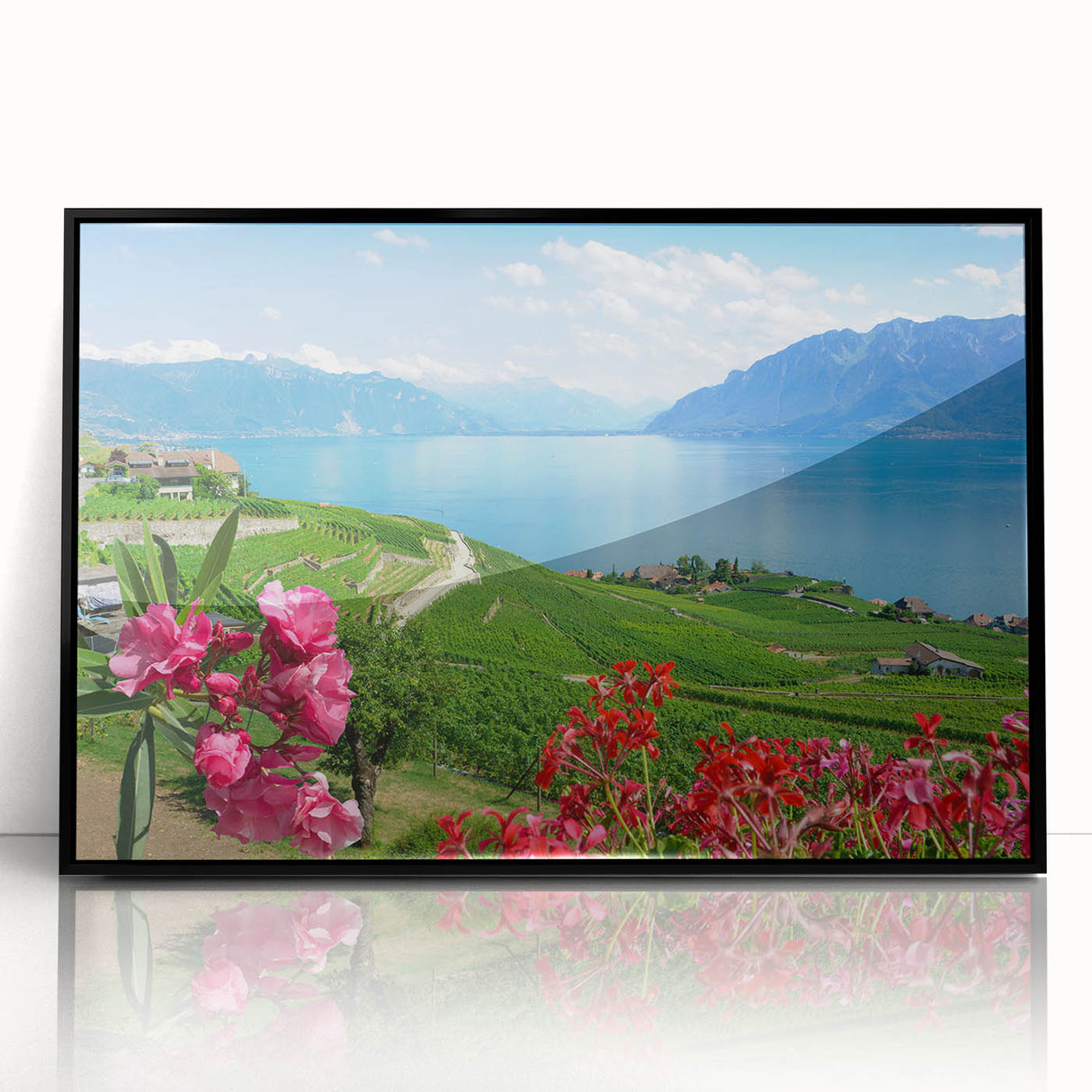 Large abstract wall art of Geneva scenery in black and white tones on framed acrylic, suitable for modern art wall decor.