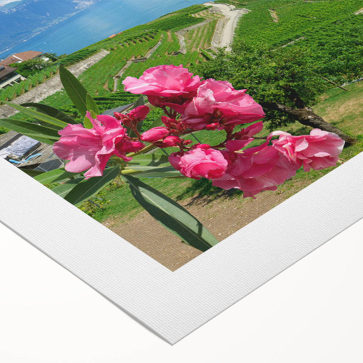 Art deco poster of Geneva scenery in muted earth tones on rolled canvas, suitable for dining room wall art.