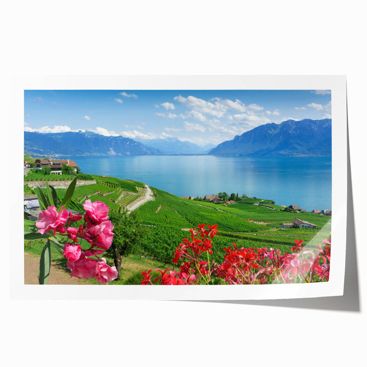 Extra large rolled print of Geneva scenery with vibrant floral elements in pastel shades, ideal for art wall dining room.