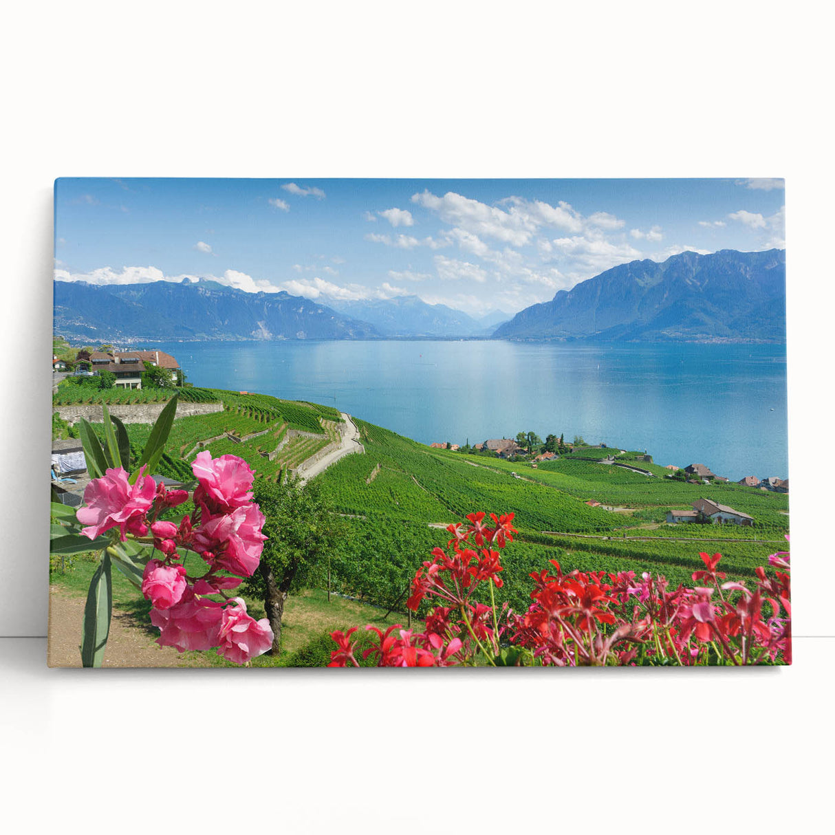 Black and white stretched canvas of Geneva scenery, ideal for kitchen wall art or bedroom.