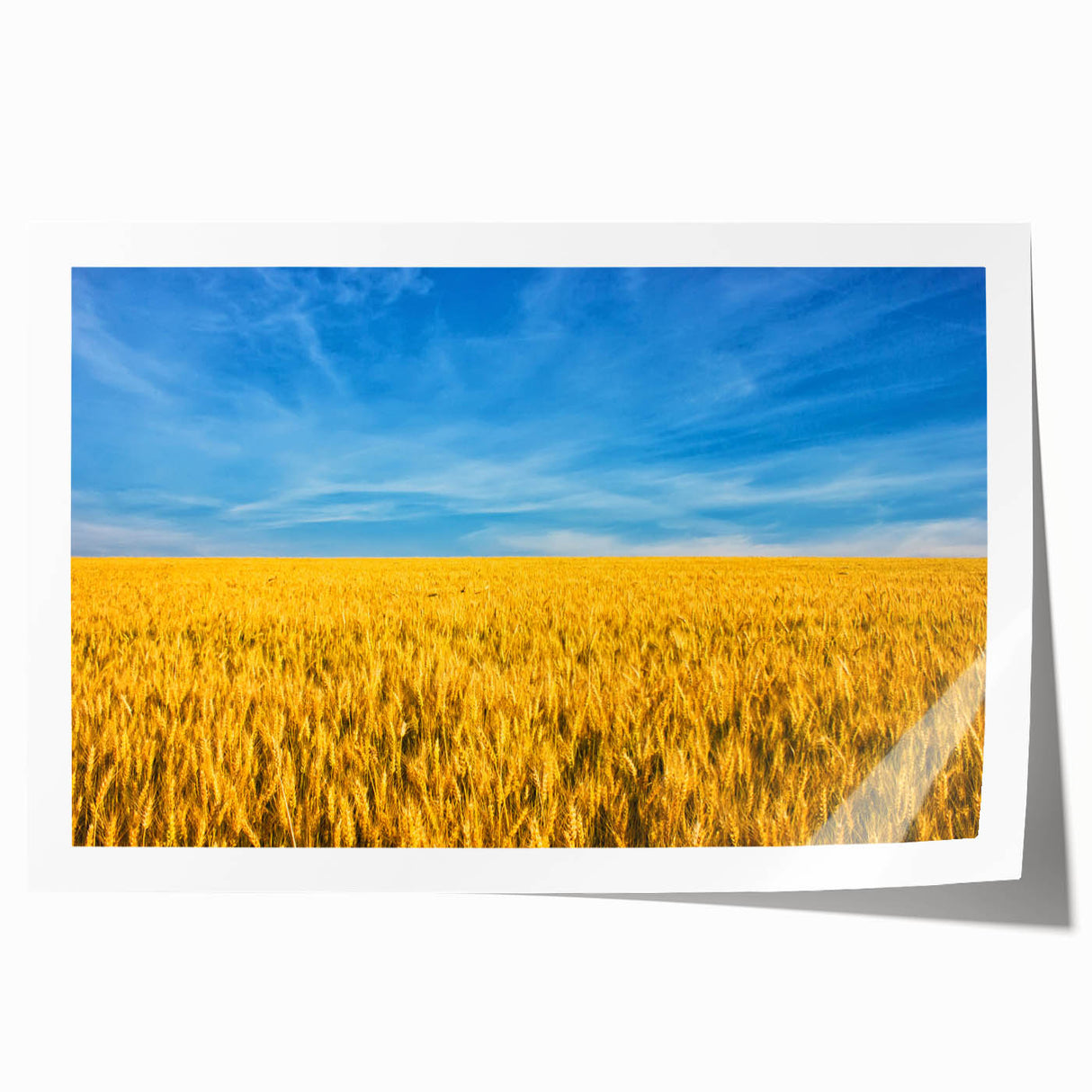 Rolled print of a European landscape with vibrant green and floral elements, ideal for art wall dining room.