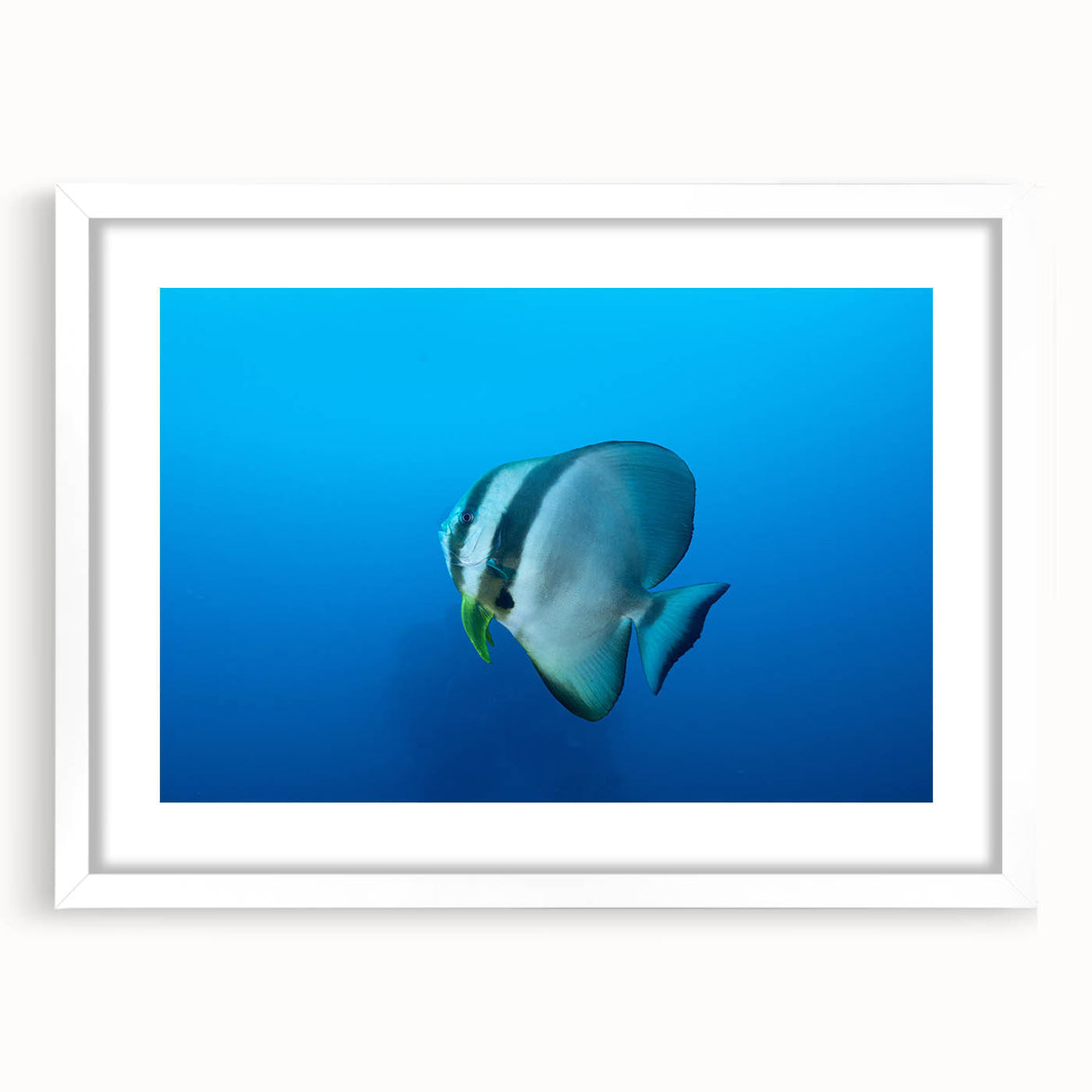 Abstract art print of Micronesian scenery in muted blue and green tones on a white-framed canvas.