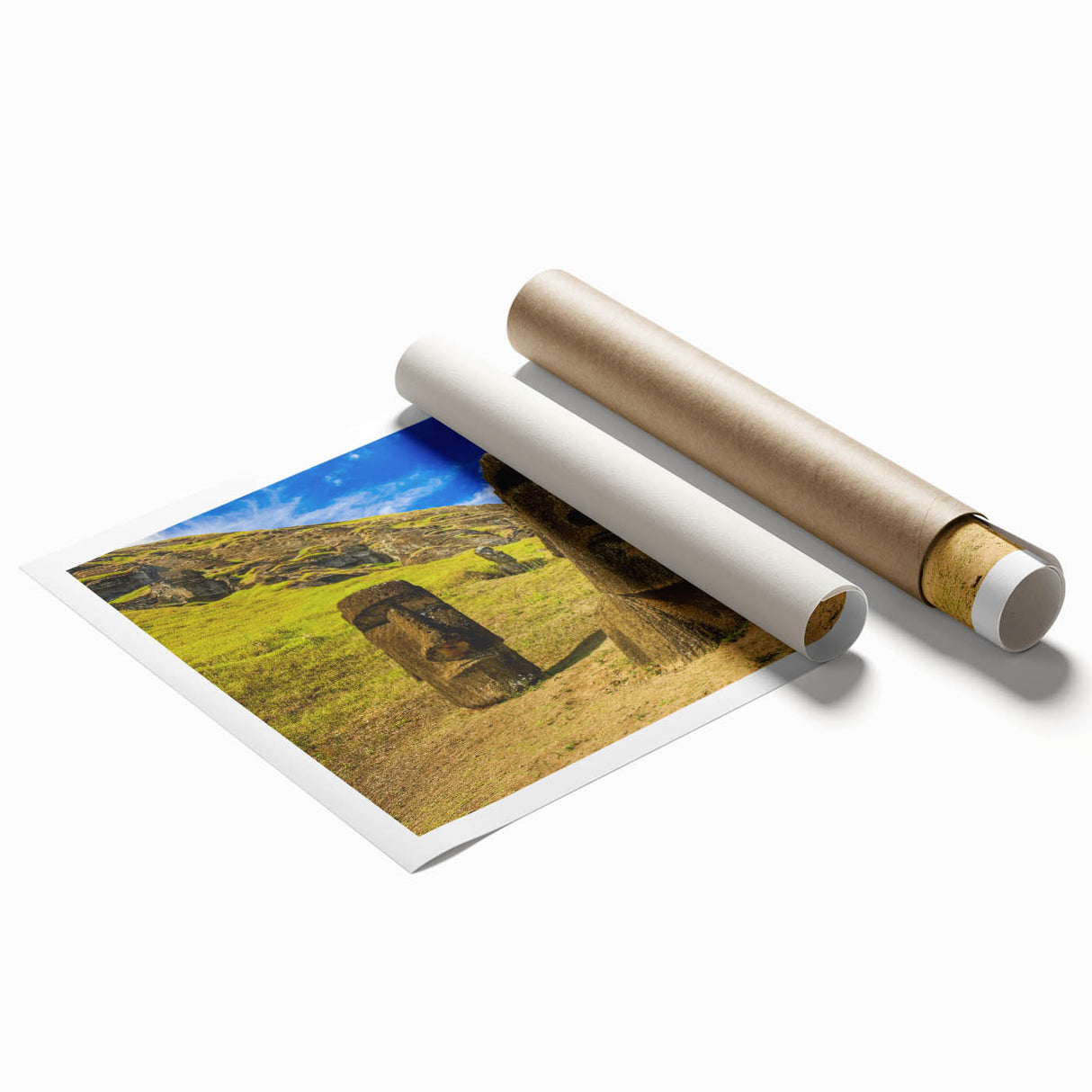 Extra large rolled print of a Chilean landscape with vibrant floral elements, ideal for classy bathroom wall art.