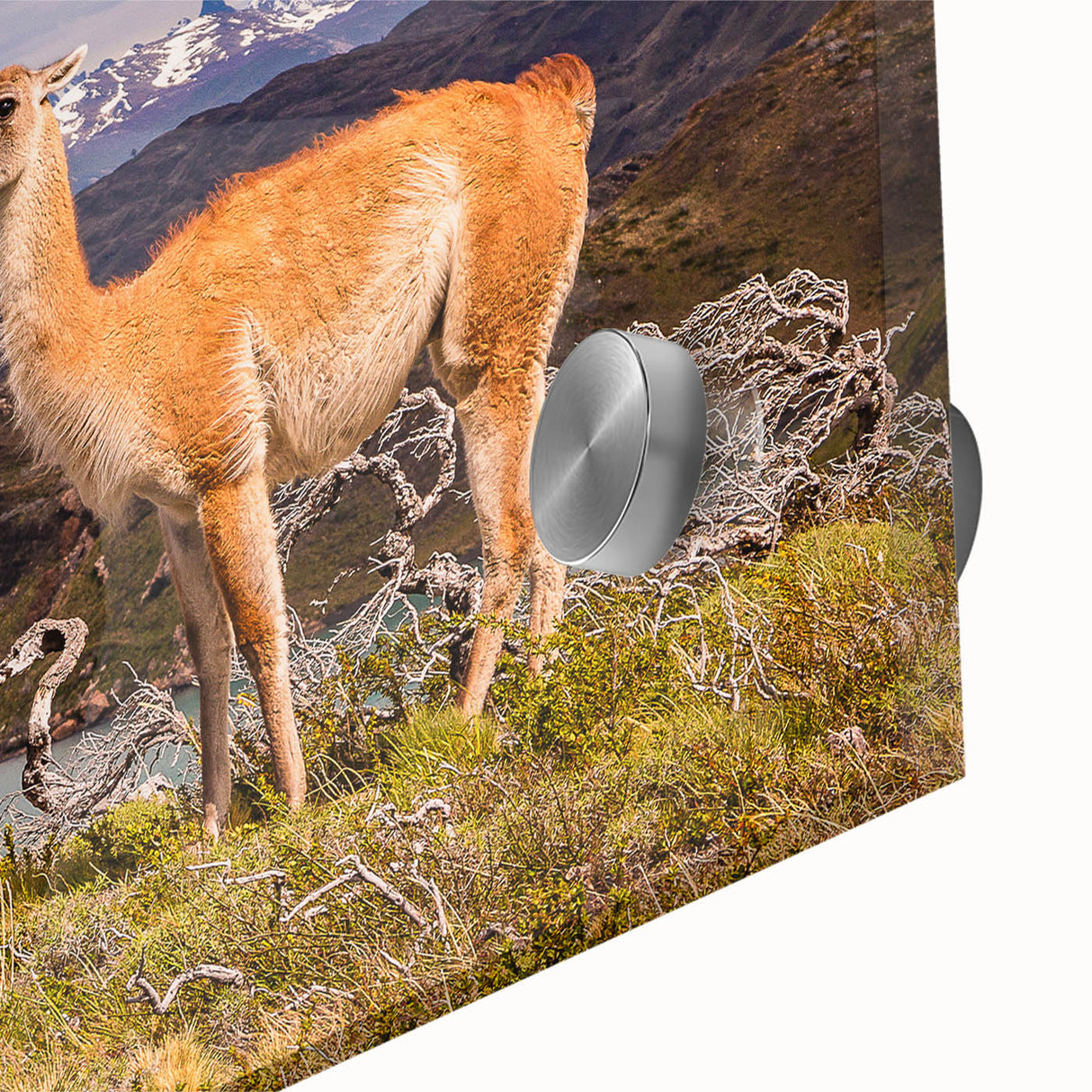 Large abstract wall art of a Peruvian landscape in muted earth tones on acrylic glass, suitable for dining room decor.