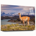 Acrylic glass print of a large abstract depiction of a South American scenery in earthy tones.