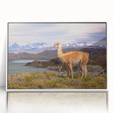 Acrylic print of a Peruvian landscape in pastel shades, framed in white, ideal for modern art wall decor.
