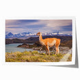 Extra large rolled print of a Peruvian landscape, featuring floral motifs in vibrant colors, ideal for dining room wall art.
