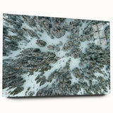 Acrylic print of a Colorado landscape featuring lush greenery and mountains, ideal for dining room decor.