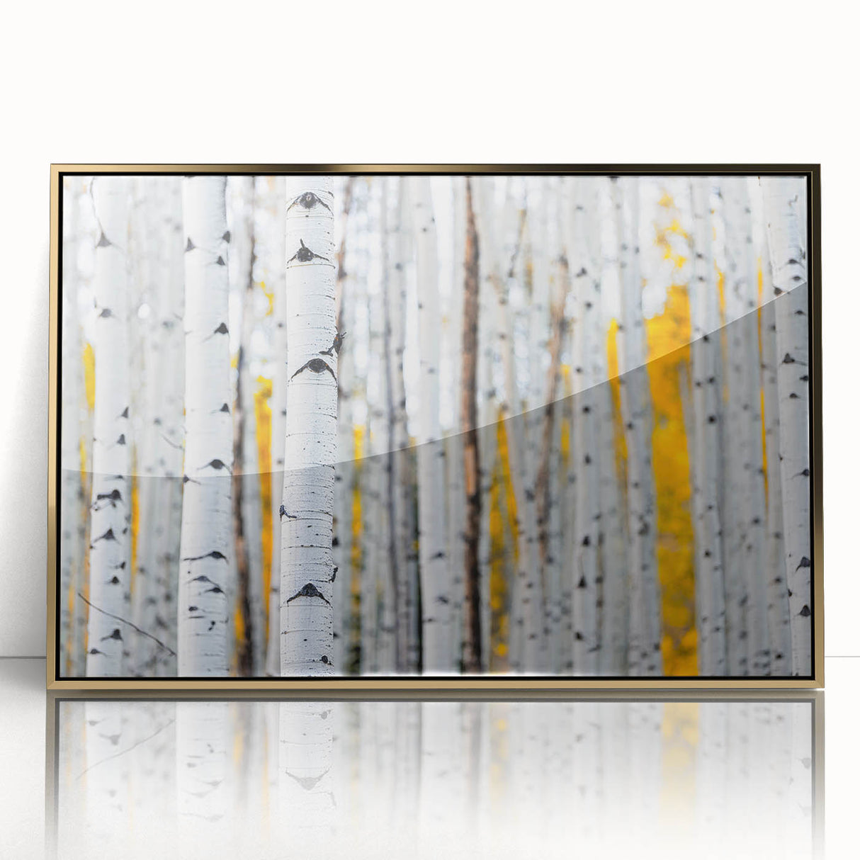 Acrylic print of Aspen, Colorado scenery in gold frame, featuring muted natural hues, ideal for modern art wall decor.