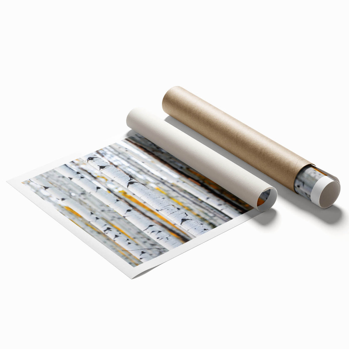 Extra large wall art of Aspen, Colorado scenery on rolled print, featuring muted earth tones.