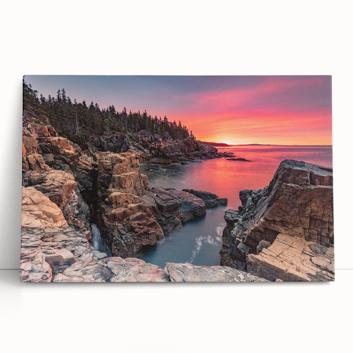 Black and white stretched canvas print of Acadia National Park, ideal for kitchen wall art or bedroom ambiance.