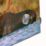 Large abstract wall art featuring a New Hampshire landscape in muted earth tones on acrylic glass.
