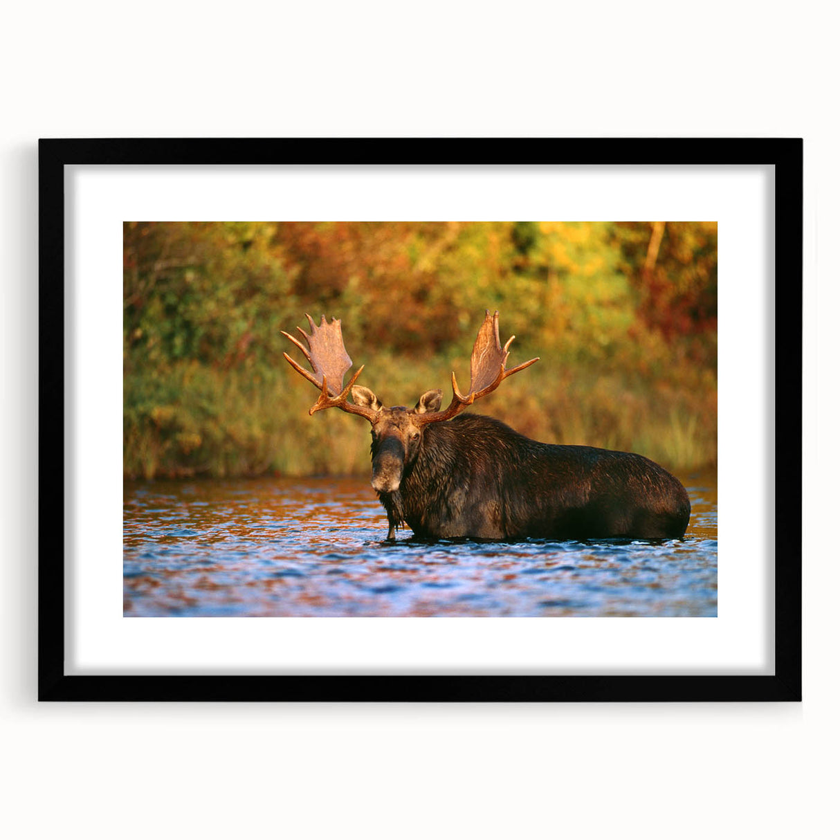 Extra large abstract art print of colorful, textured scenery of New Hampshire on a black framed canvas.