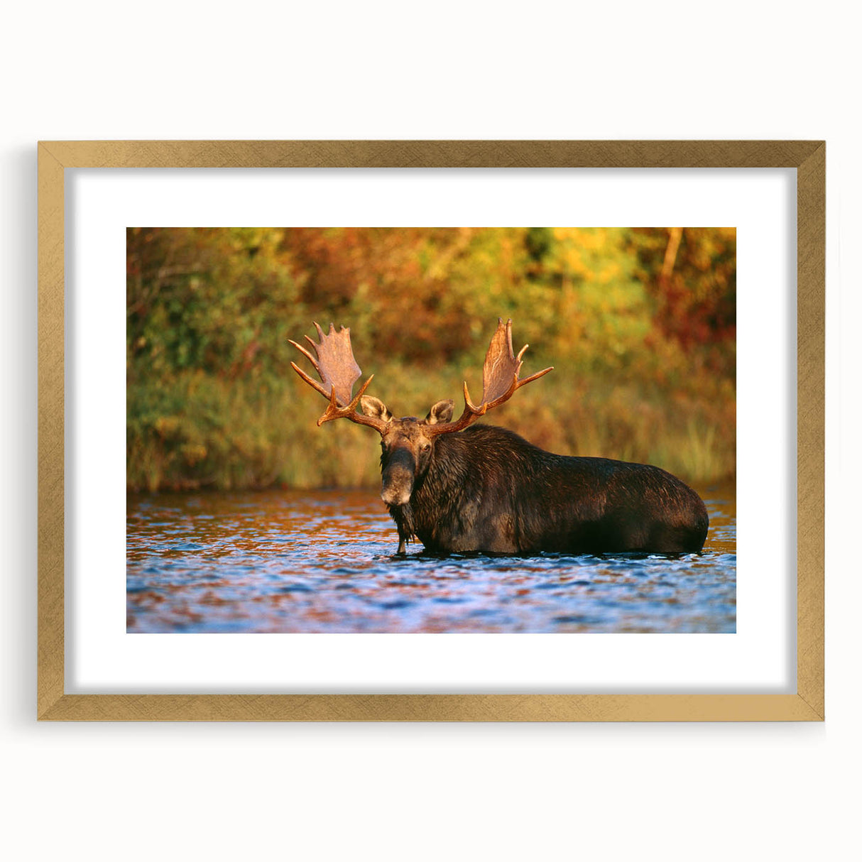 Extra large abstract art print of New Hampshire scenery in gold frame, textured colors, ideal for living room decor.