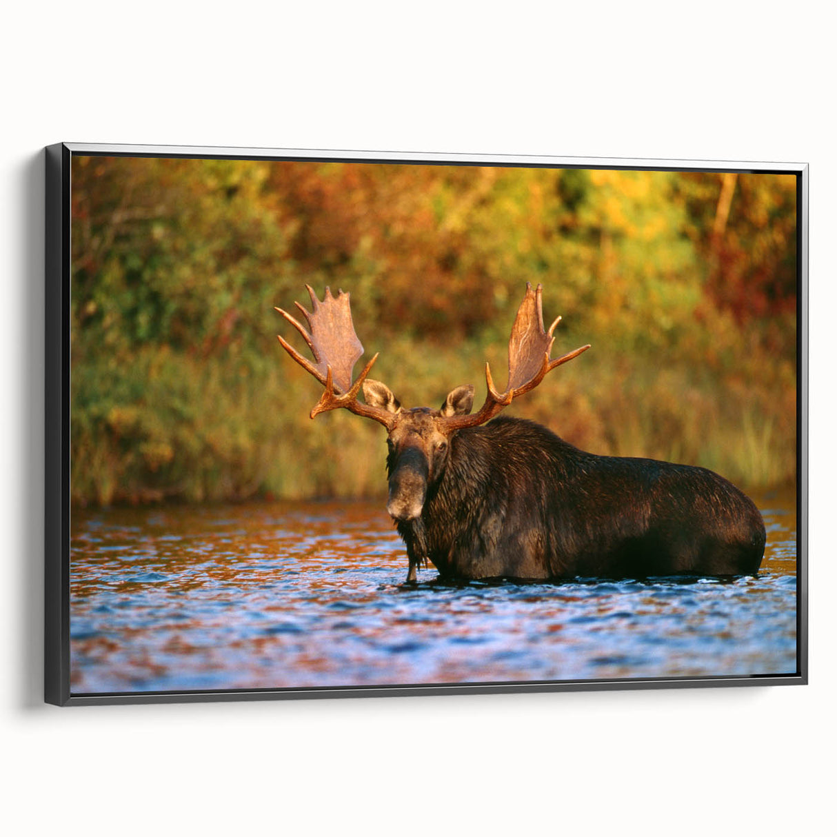 Black and white framed canvas of a New Hampshire landscape, ideal for bedroom wall decor.