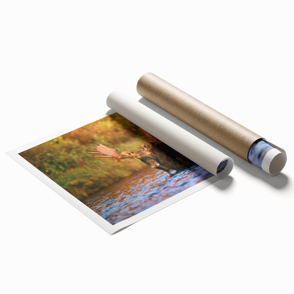 Extra large rolled print featuring a serene New Hampshire landscape with lush greenery, ideal for classy bathroom wall art.
