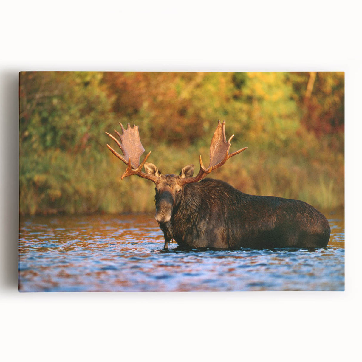 Black and white stretched canvas featuring a serene New Hampshire landscape, ideal for kitchen wall art.