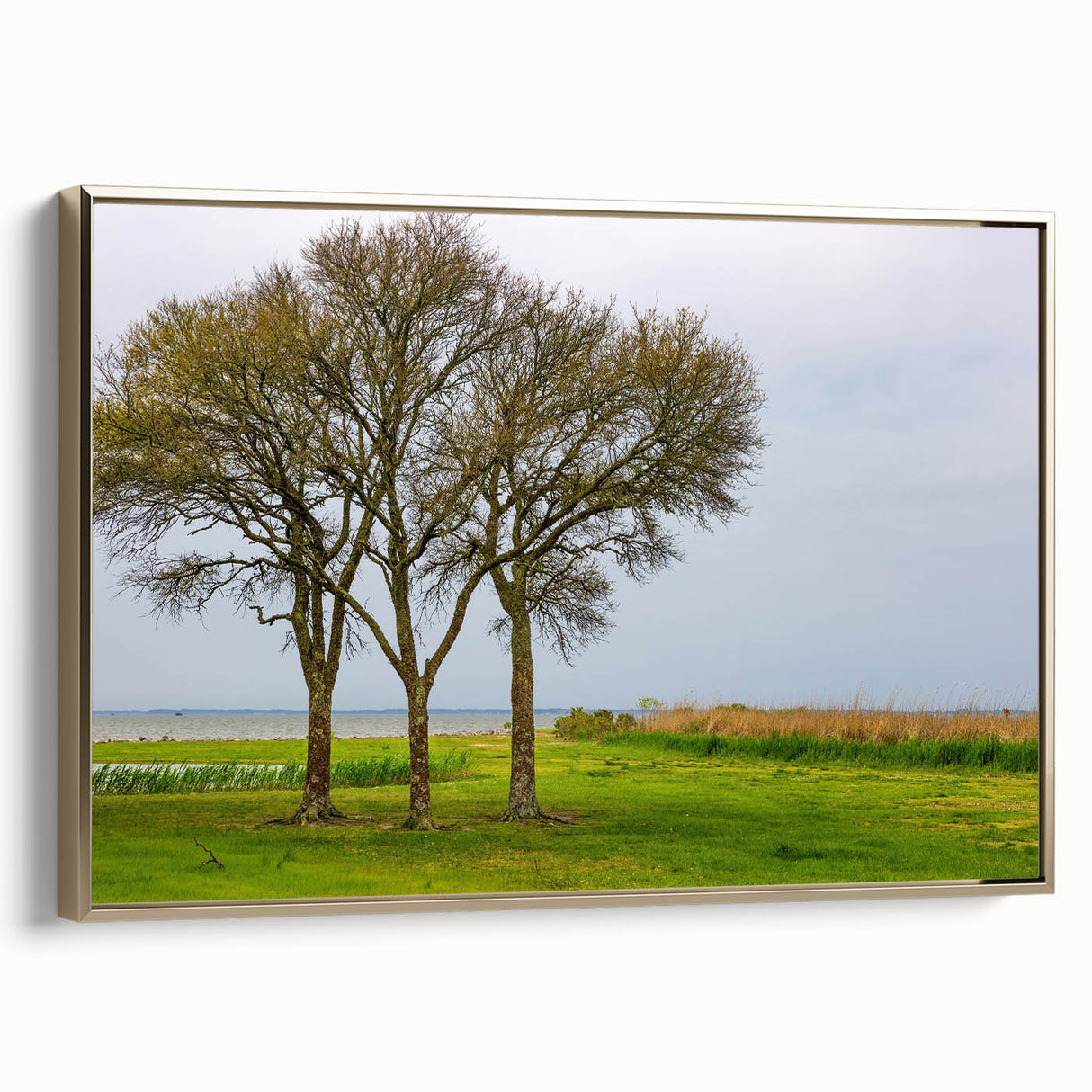 Framed canvas featuring a vintage-style landscape painting of the Outer Banks in muted gold and black tones.