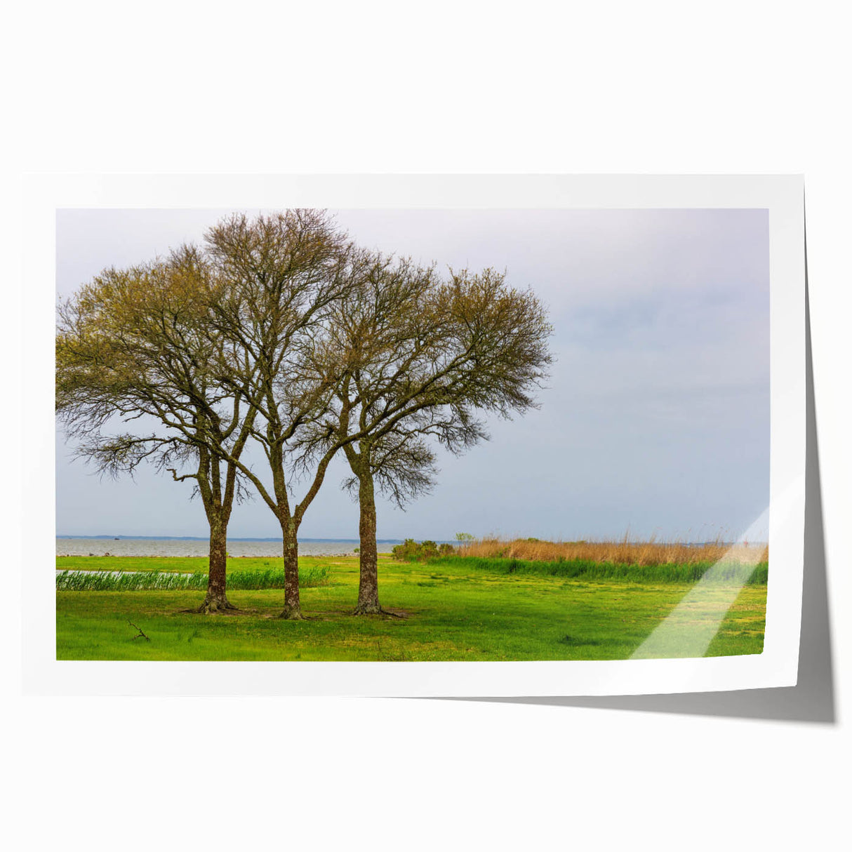Outer Banks, North Carolina scenery on a rolled print, featuring soft pastel shades, perfect for dining room wall art.