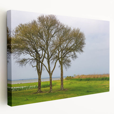 Large art depicting the Outer Banks in North Carolina with muted earth tones on stretched canvas.