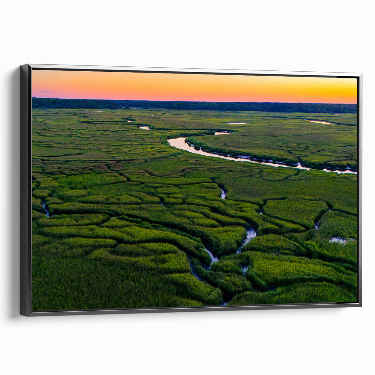 Black and white framed canvas of Charleston landscape, ideal for bedroom wall art, featuring a vintage poster style.