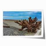 Extra large rolled print of Olympic National Park with lush greenery and mist, in muted earth tones.