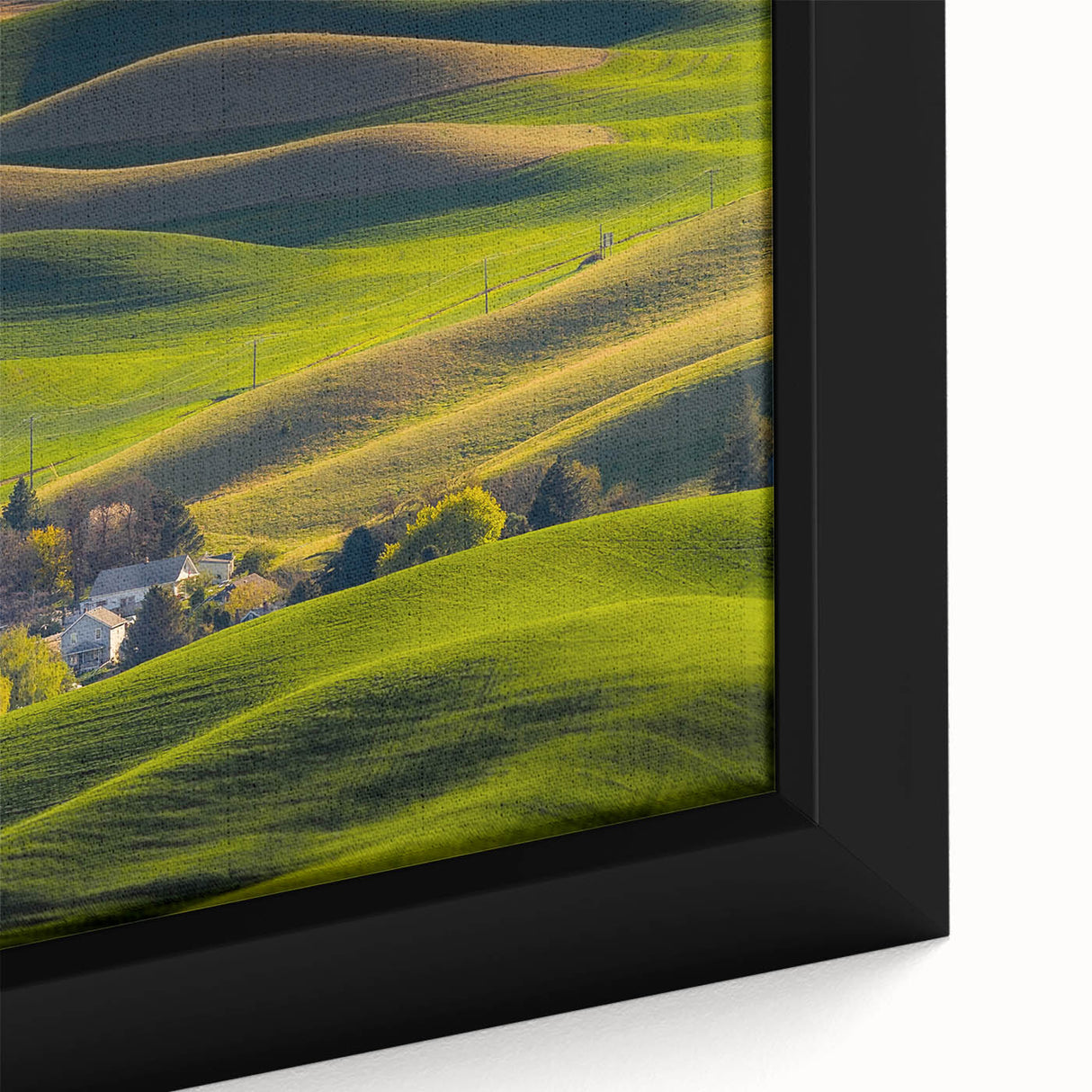 Extra large framed canvas featuring a textured depiction of the Palouse region in black with colorful accents.