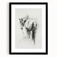 Framed animal-themed wall art with a black mat, showcasing intricate wildlife illustrations in vibrant colors, ideal for enhancing home decor or office spaces.