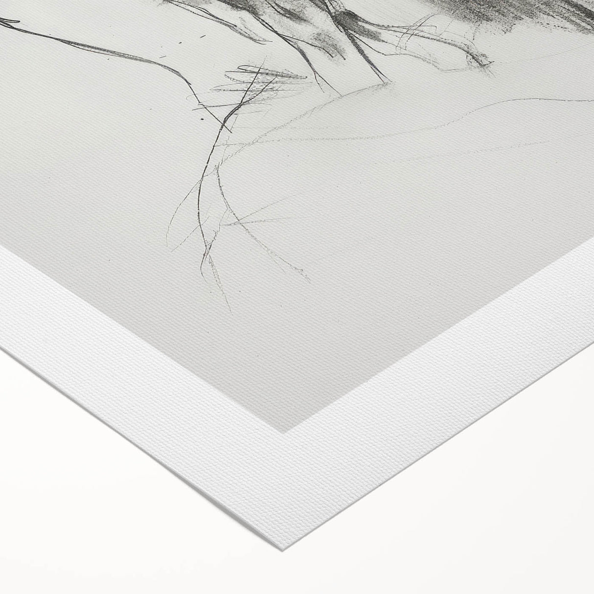 Rolled canvas showcasing a vibrant animal-themed design with intricate details, featuring various wildlife illustrations, secured in a protective cardboard tube for shipping.