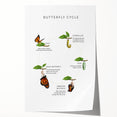 Butterfly Life Cycle Kids Educational Wall Art - Learning Poster