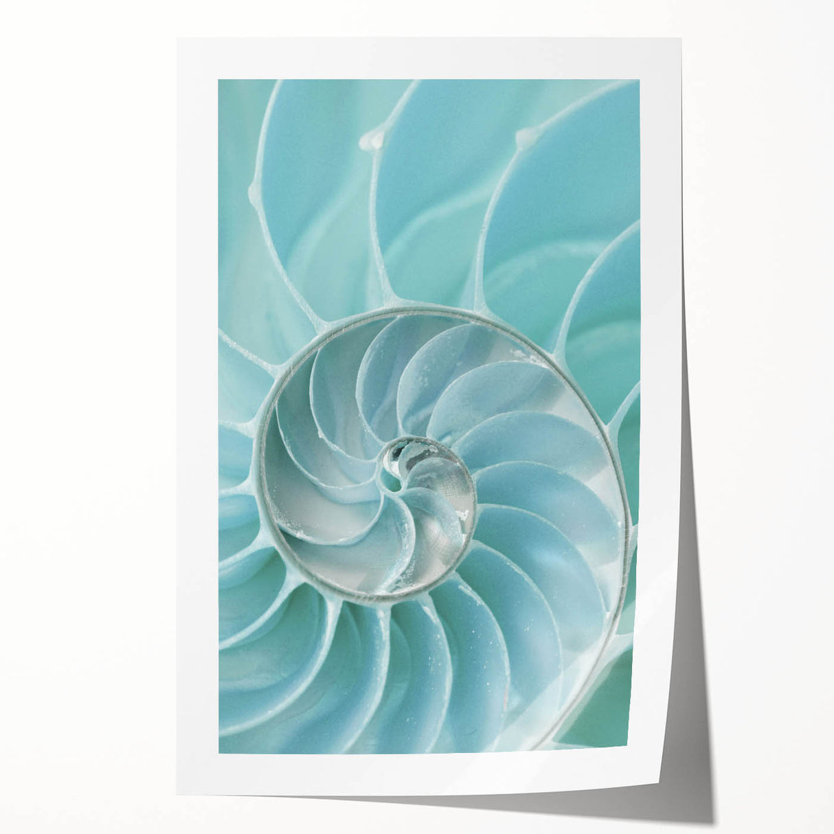 Extra large rolled canvas print featuring a vibrant floral design, suitable for art wall dining room placement.