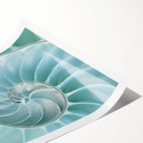 Extra large wall art featuring line art flowers in bold black on a white background, ideal for large living room decor.