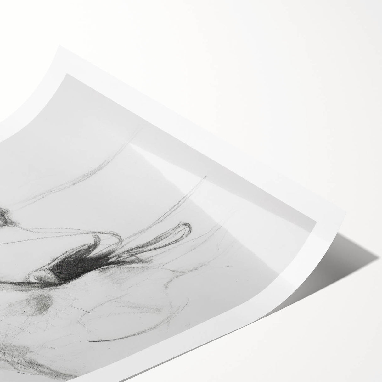 Rolled canvas print showcasing a vibrant, artistic depiction of various animals, featuring intricate details and rich colors, securely packaged in a protective tube for shipping.