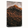 Large abstract wall art depicting autumnal trees in orange and brown hues on acrylic glass, ideal for dining room decor.