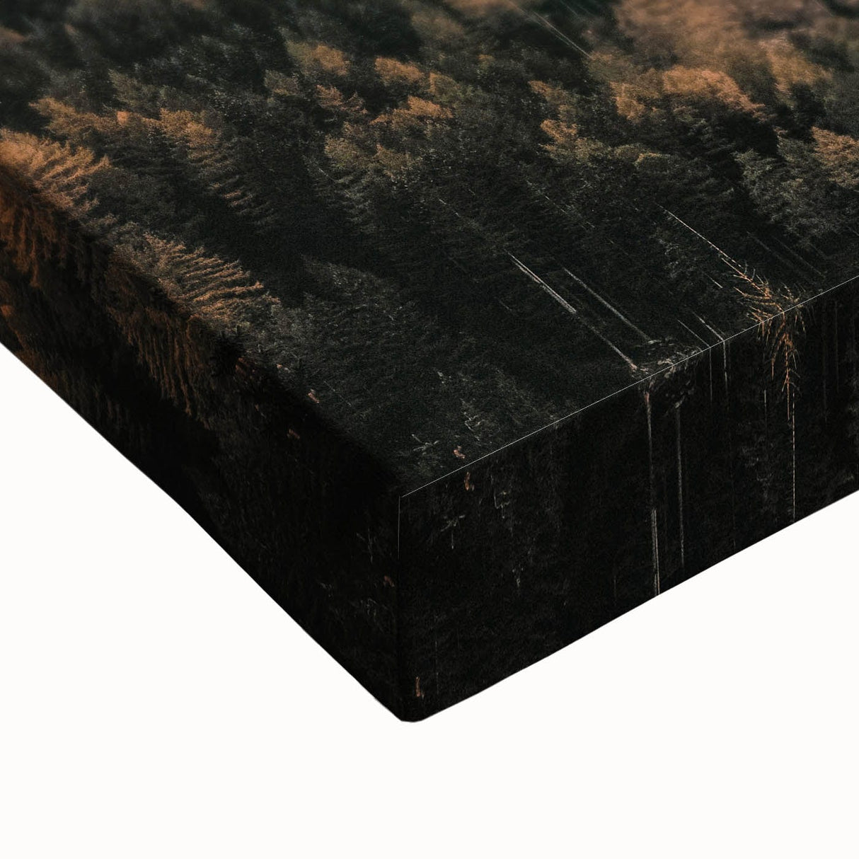 Large art canvas featuring a black and white landscape painting with trees in autumn, ideal for bedroom wall decor.