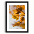 Extra large abstract art print featuring textured, colorful foliage designs on a black framed canvas.